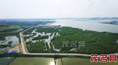 推进高高凉北、西粤北、江东北等新建道